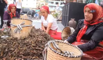 Fındığın Başkenti Giresun'da Fındık Festivali Düzenlendi