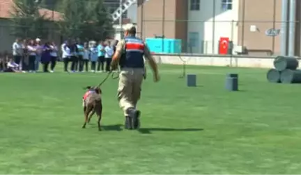 Jakem Komutanlığına Bağlı Köpeklerin Gösterileri Nefesleri Kesti