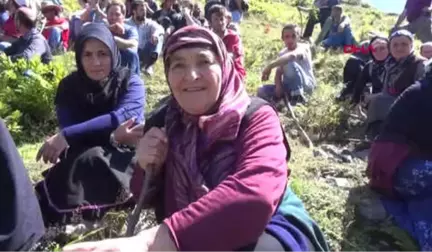 Rize Rize'deki Tartışmalı Yaylada '4 Ev Kundaklandı' İddiası Hd