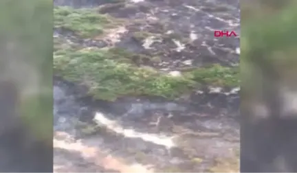 Hatay Hatay'da Makilik Alanda Yangın