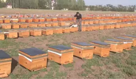 Genç Çiftçilere Arı Kovanı Dağıtıldı - Muş