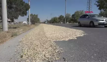 Konya Yolun Bir Şeridini Trafiğe Kapatıp, Kabak Çekirdeği Kurutuyorlar