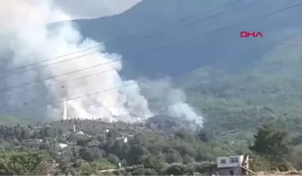 Hatay'da 4 Farklı Noktada Orman Yangını