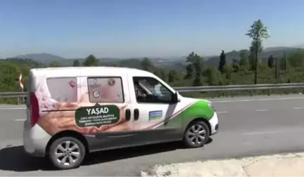 Yaşlılar Mahzun Bırakılmıyor - Ordu