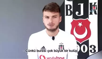 Ljajic: 