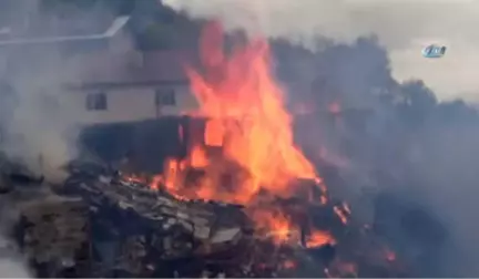 Kastamonu'da Yangınlarla Mücadele Devam Ediyor.