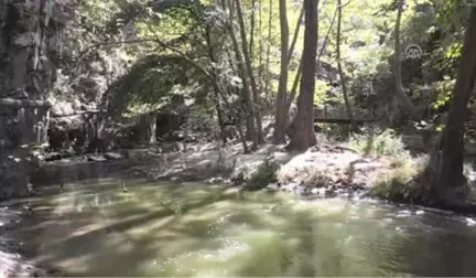 Sadağı Kanyonu Sonbaharda Doğa Tutkunlarını Bekliyor