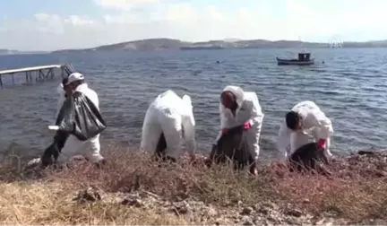 Foça'da Denize Sızan Akaryakıt Temizlendi