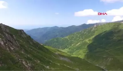 Kızıl Tilki Yaylacıların Maskotu Oldu