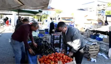 Domatesi Tuta Hastalığı Vurdu