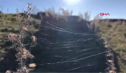 Kars Umut Ali, Geçince Tutuklandığı Sınıra Gitti