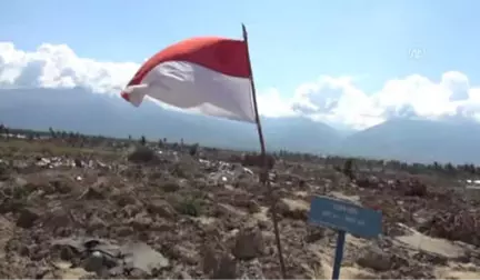 Uluslararası Kuruluşlardan Fitre ve Zekatlarını Göndermelerini İstiyoruz