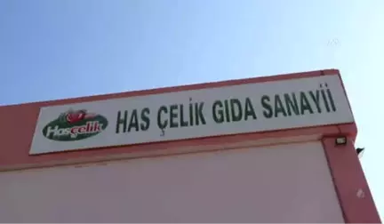 Manisalı Çiftçinin İhracat Başarısı