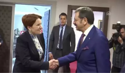 Akşener, Türkiye-Ab Kik Heyetini Kabul Etti