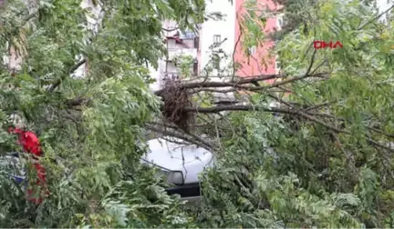 Erzurum'da Fırtına Etkili Oldu