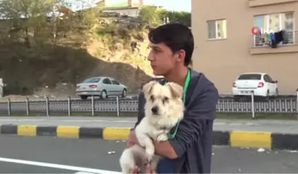 Sahiplendiği Görme Engelli Köpek, Tek Dostu Oldu