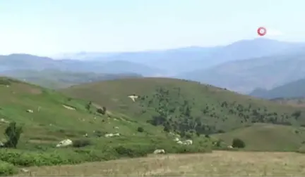 PKK Karadeniz'de Kış Üstlenmesi Yapamadı