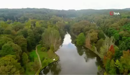 Sonbaharın Renklerine Bürünen Atatürk Arboretumu Havadan Görüntülendi