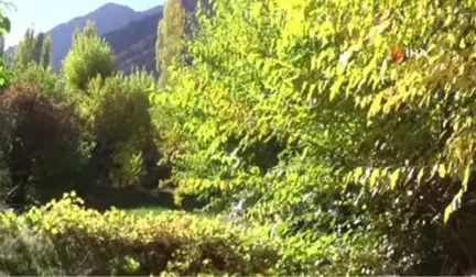 Hakkari'de Sonbahar Manzaraları
