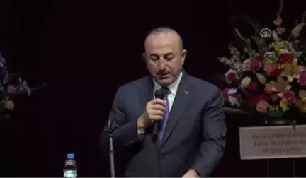 Bakan Çavuşoğlu: 