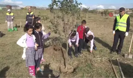 Şehrin Stresinden Uzakta Kendi Sebze Meyvelerini Yetiştiriyorlar