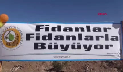 Burdur'da Fidan Dikim Etkinliği