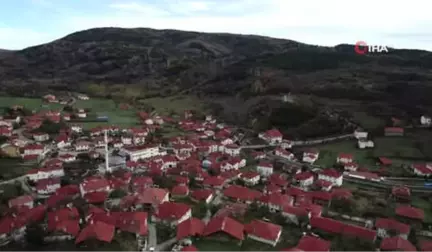 Bodrum Değil Ordu Evleri...karadeniz'de Ezber Bozan Mahalle