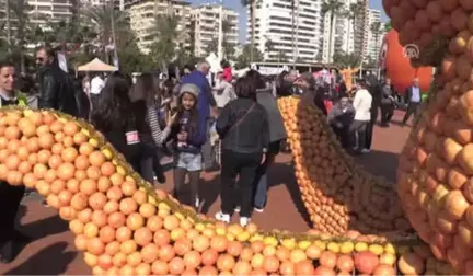 6. Mersin Uluslararası Narenciye Festivali Sona Erdi