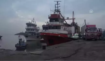 Batı Karadeniz'de Hamsi Bolluğu Sürüyor