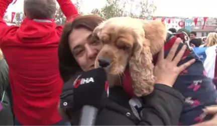 Hayvanseverler Hayvanları Koruma Kanunu'nun İçeriğine Tepki Gösterdi