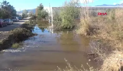 Mersin Anamur'da Selde Kümes Hayvanları Telef Oldu