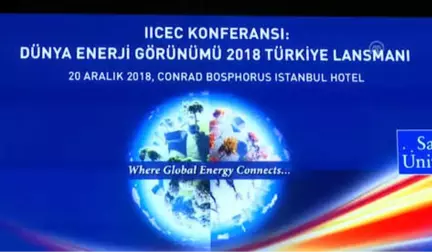 Dünya Enerji Görünümü 2018 Raporu'nun Türkiye Tanıtımı