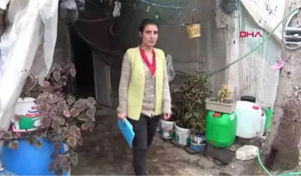 Adana Göğsünde Kitle Çıkan Olga, Yardım Bekliyor