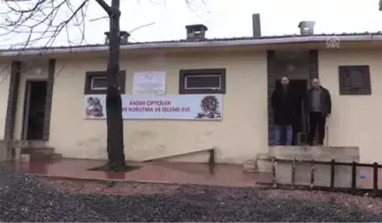 Dalından Dökülen Meyveler Kadın Eliyle Ekonomiye Kazandırılıyor - Ordu