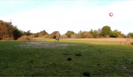 Kuş ve Doğa Fotoğrafçılarının 'Kuş Cenneti' Talebi