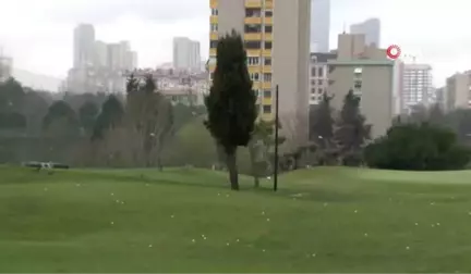 Futgolf Sporu Tanıtıldı