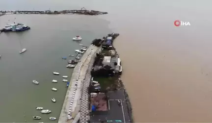 Boğluca Deresi Marmara Denizi'ni Kahverengiye Boyamaya Devam Ediyor