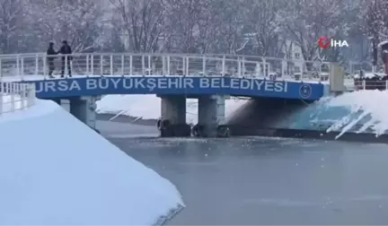 Buz Tutan Havuzu Görenler Hayran Kaldı