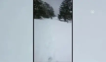 Teiaş Ekiplerinin Zorlu Mesaisi