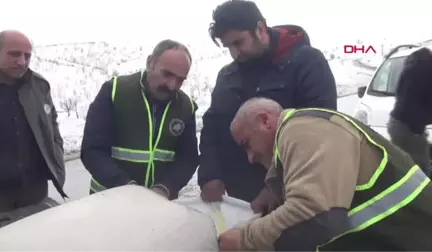 Şırnak'ta Yaban Hayvanları İçin Doğaya Yem Bırakıldı