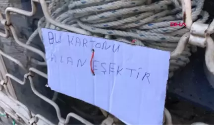 Bursa Sokak Köpeğine Kartondan Ev Yaptı