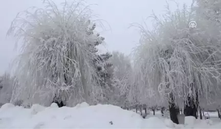 Doğu Anadolu'da Soğuk Hava