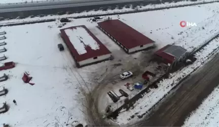 Sivas Kangalı, İspanya'da Türkiye'yi Temsil Edecek