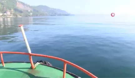 Karadeniz'de Mezgit Bolluğu