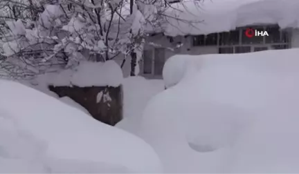 Bitlis'te Kar Seferberliği