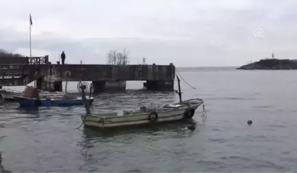 Batı Karadenizli Balıkçıların Hamsi Umudu Kalmadı