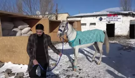 Erzurum Yarış Atına Doğum Günü Partisi