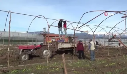 Tarsim Sigortası Olan Üreticiler Seralarını Yeniden Kurma Çalışmalarına Başladı