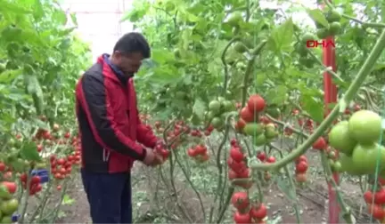 Antalya Üretici Tanzim Satışa Karşı Değil