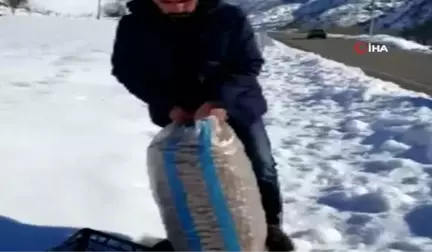 2 Bin Liralık Cevizini Hayvanlar İçin Doğaya Bıraktı